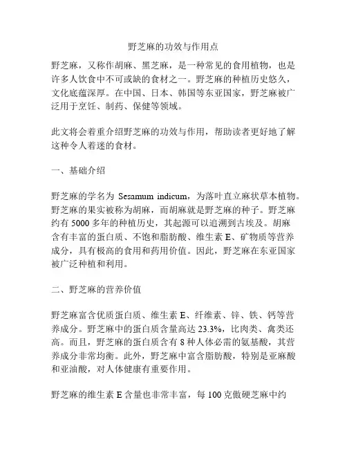 野芝麻的功效与作用点
