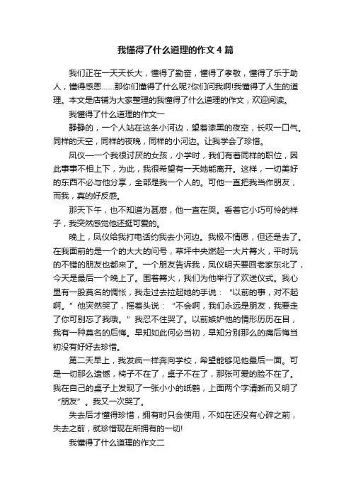 我懂得了什么道理的作文4篇