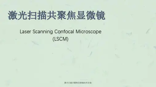 激光扫描共聚焦显微镜技术讲座课件