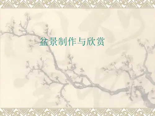 第一章 盆景的制作与欣赏ppt课件