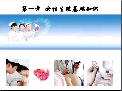 第一章   女性生殖系统基础知识(妇产科护理)