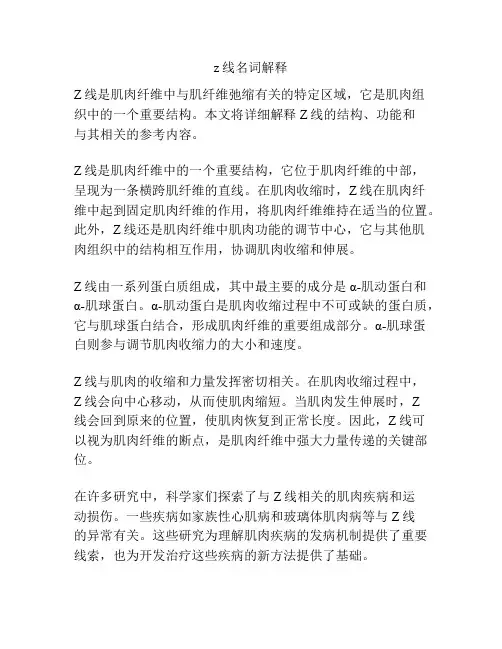 z线名词解释