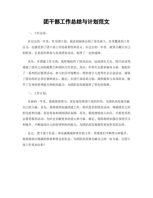 团干部工作总结与计划范文