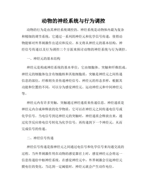 动物的神经系统与行为调控