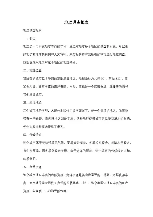 地理调查报告