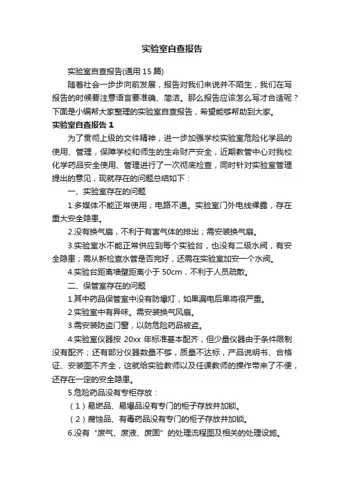 实验室自查报告
