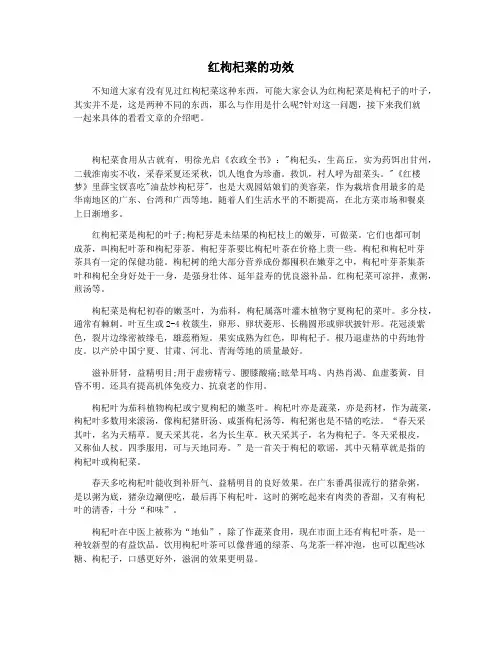 红枸杞菜的功效