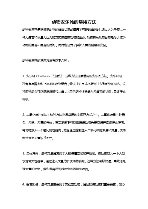动物安乐死的常用方法