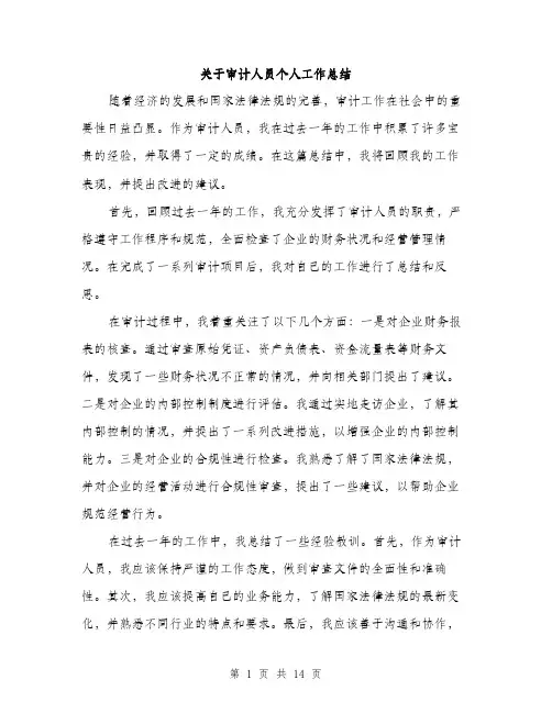 关于审计人员个人工作总结（5篇）