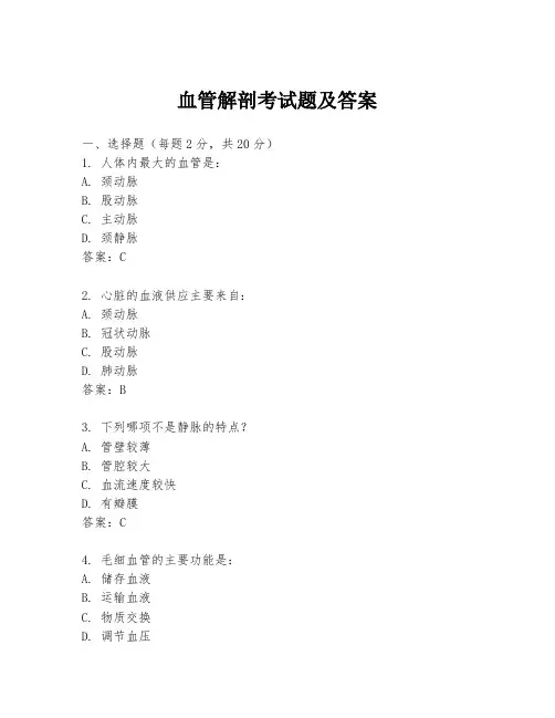 血管解剖考试题及答案