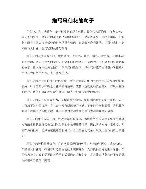 描写凤仙花的句子