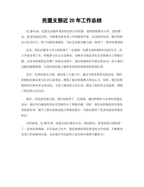 民盟支部近20年工作总结