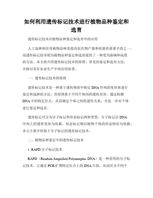 如何利用遗传标记技术进行植物品种鉴定和选育
