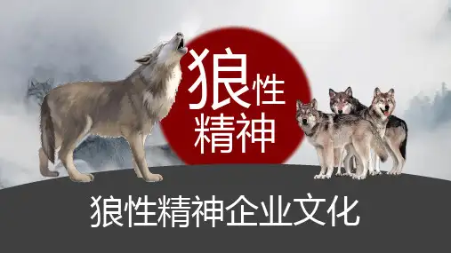 狼性精神企业文化PPT模板