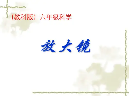 放大镜》PPT