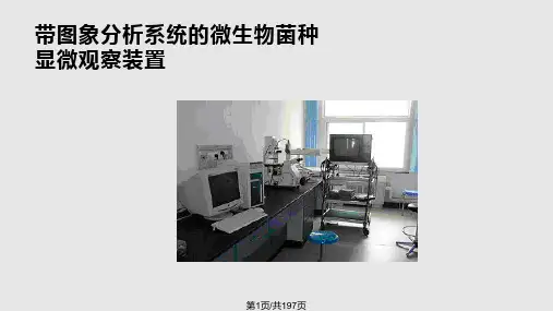 菌种筛选方法PPT课件