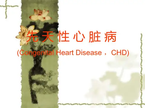 外科学(各论)：先天性心脏病