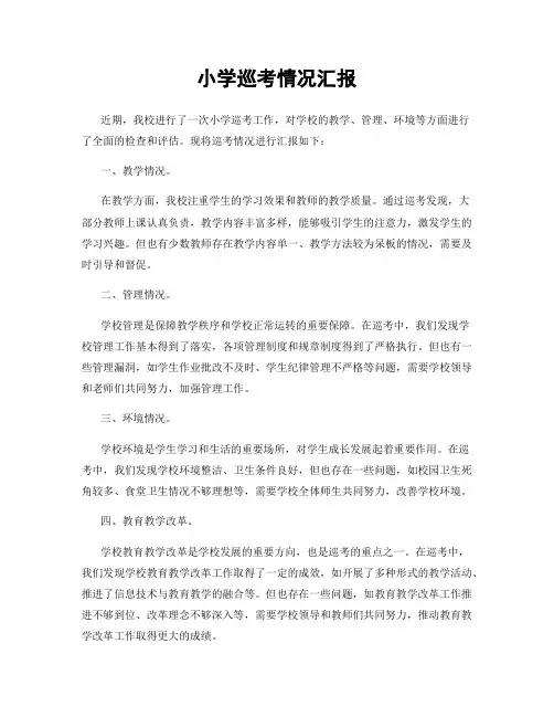 小学巡考情况汇报