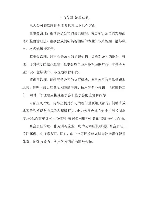 电力公司 治理体系