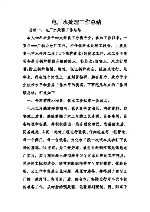 电厂水处理工作总结