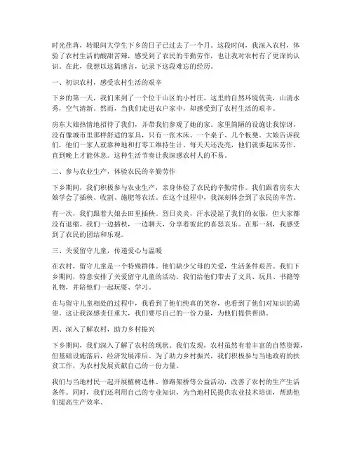 大学生下乡的感言