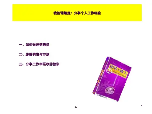 个人工作经验分享ppt课件
