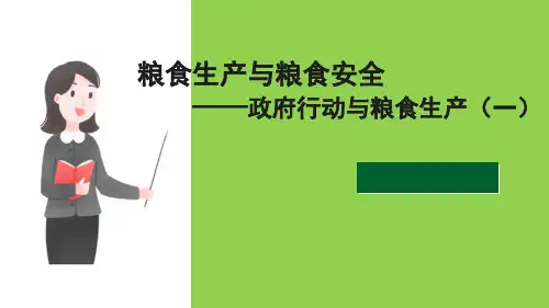 政府行动与粮食生产(农业经济学课件)