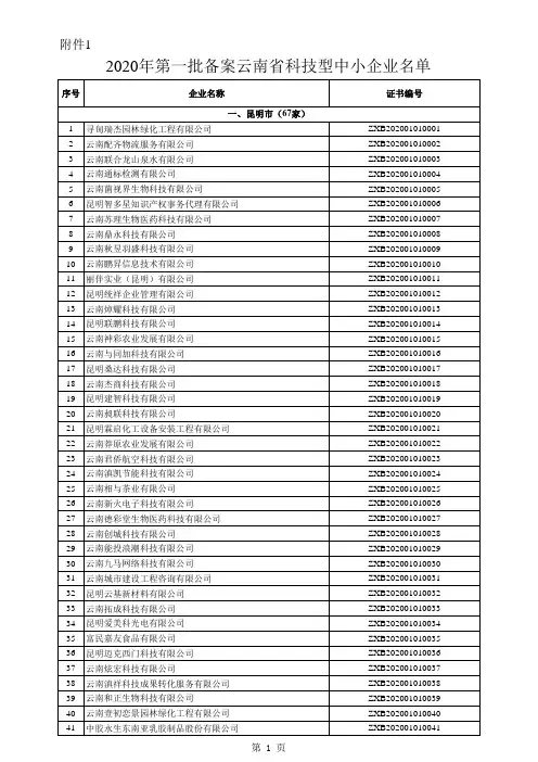 2020年第一批备案云南省科技型中小企业名单