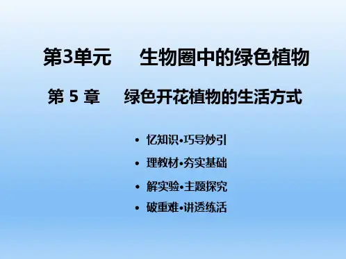中考生物一轮考点复习(北师大版)第3单元-第5章绿色开花植物的生活方式-课件