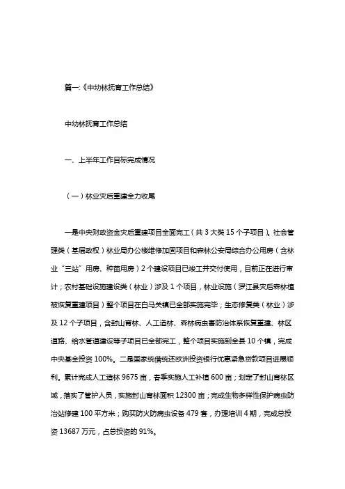 中幼林抚育工作总结