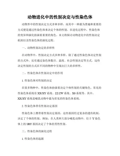 动物进化中的性别决定与性染色体