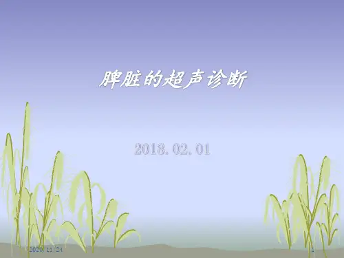 脾脏的超声诊断 ppt课件