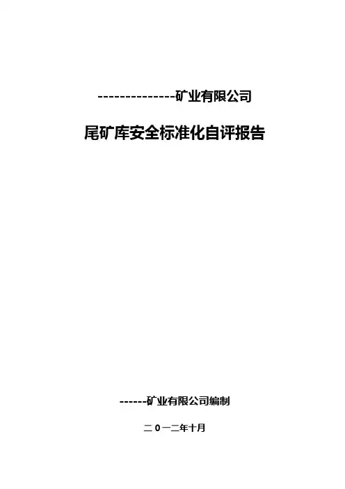 尾矿库安全标准化自评报告