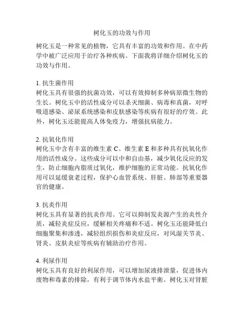 树化玉的功效与作用