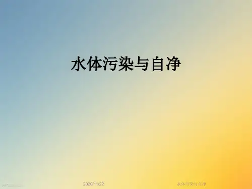 水体污染与自净