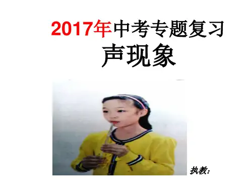 《声现象》总复习PPT课件