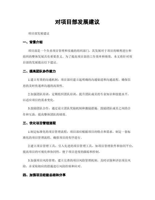 对项目部发展建议