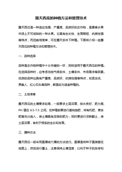 露天西瓜的种植方法和管理技术