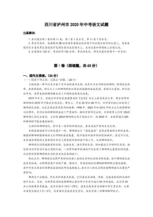 泸州市2020年中考语文试题及答案word版