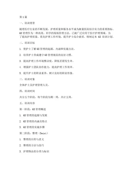 6s的培训计划护理(2篇)