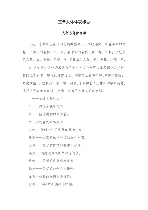 正常人体体表标志【范本模板】