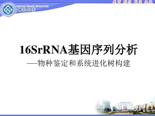 16SrRNA基因序列分析在原核生物种的分类中的应用