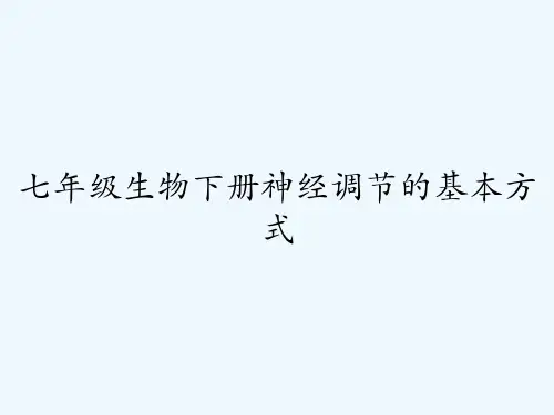 七年级生物下册神经调节的基本方式-PPT