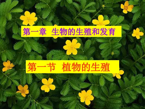 【新人教版】植物的生殖PPT课件1