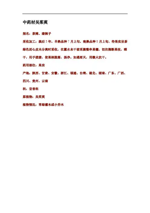 中药材吴茱萸