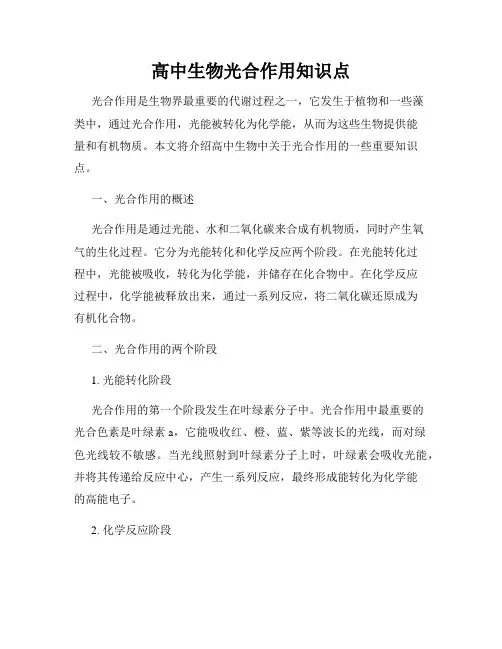 高中生物光合作用知识点