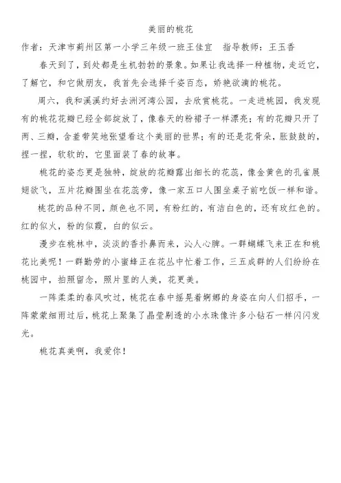 美丽的桃花—王佳宜