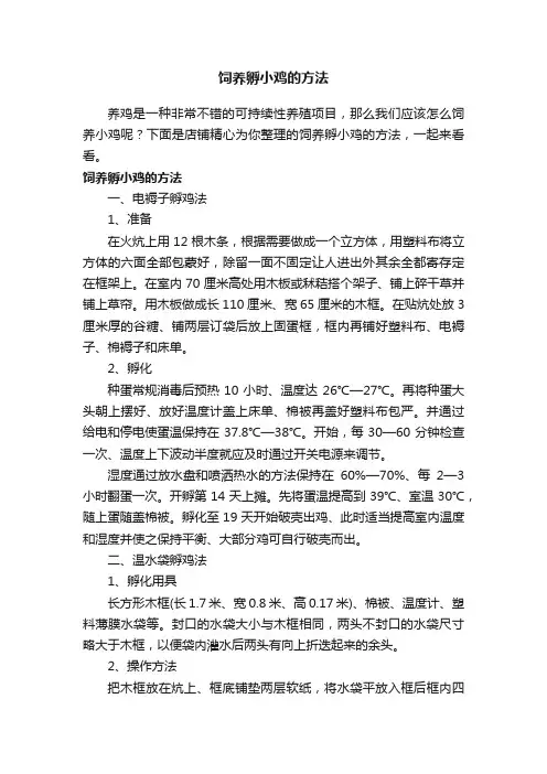 饲养孵小鸡的方法