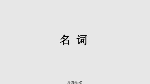 初一英语专题语法复习名词页PPT课件