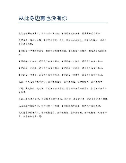 从此身边再也没有你